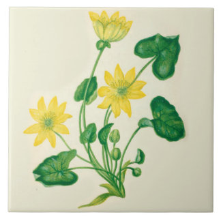 De Cerâmica Celandine do azulejo da cozinha do país dos