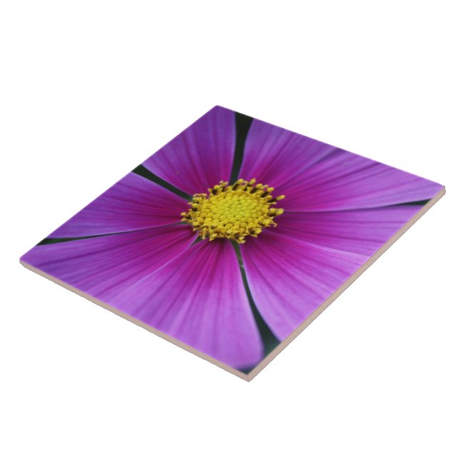 De Cerâmica Centro do Azulejo Cosmos (Lateral)