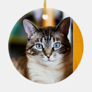 De Cerâmica Cheio Rummy do ornamento do gato Siamese das