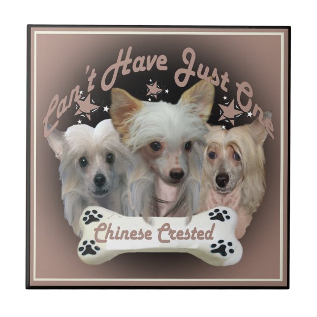 De Cerâmica Chinês Crested não pode ter apenas um Azulejo (Frente)