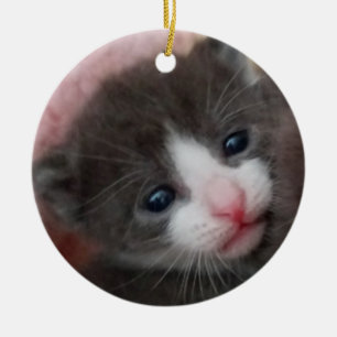 De Cerâmica Cinza & branco do ornamento do gatinho do bebê