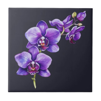De Cerâmica Cinzas Escuras, Azulejo cerâmico com orquídeas rox