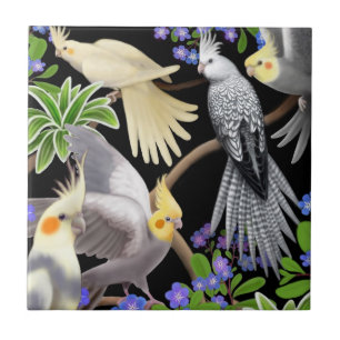 De Cerâmica Cockatiels no azulejo dos miosótis