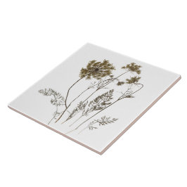 De Cerâmica Colar da Rainha Anne num Azulejo cerâmico (A branc