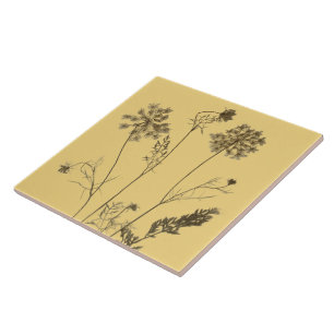 De Cerâmica Colar da Rainha Anne num Azulejo cerâmico (Amarelo