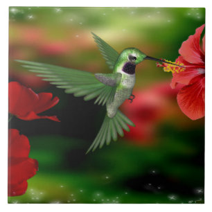De Cerâmica Colibri em um azulejo 6x6