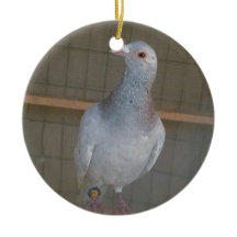 Competindo o ornamento do local