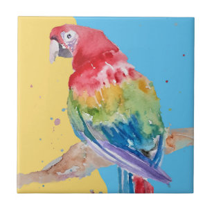 De Cerâmica Corante Colorido Macaw Aquarela Azulejo cerâmico