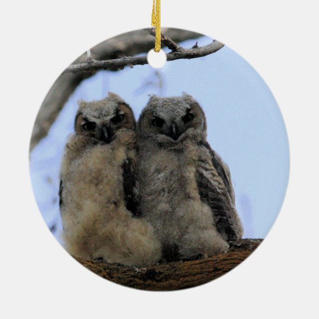De Cerâmica Corujas Gêmeas - Ornamento Cerâmico (Traseira)