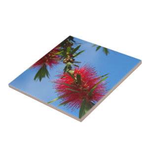 De Cerâmica Criar seu próprio azulejo quadrado - bottlebrush
