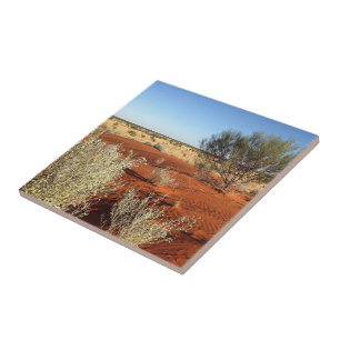De Cerâmica Crie seu próprio azulejo quadrado - Deserto austr