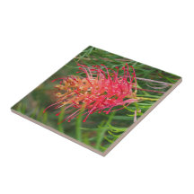 Crie seu próprio azulejo quadrado - Grevillea