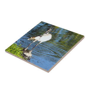 De Cerâmica Crie seu próprio azulejo quadrado - Ibis branco