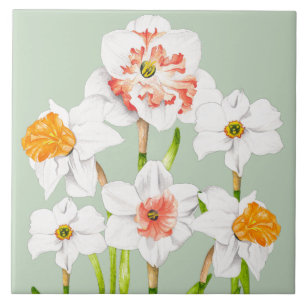 De Cerâmica Daffodils num Azulejo cerâmico