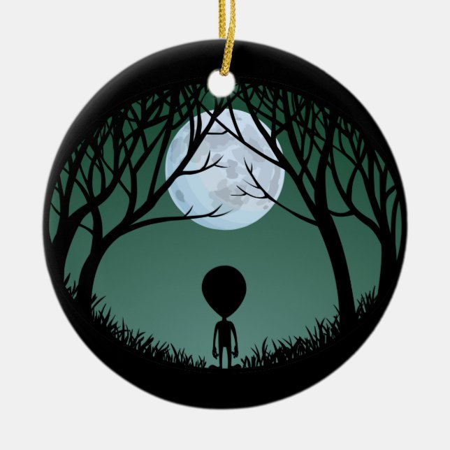 De Cerâmica Decoração estrangeira bonito do ornamento (Frente)