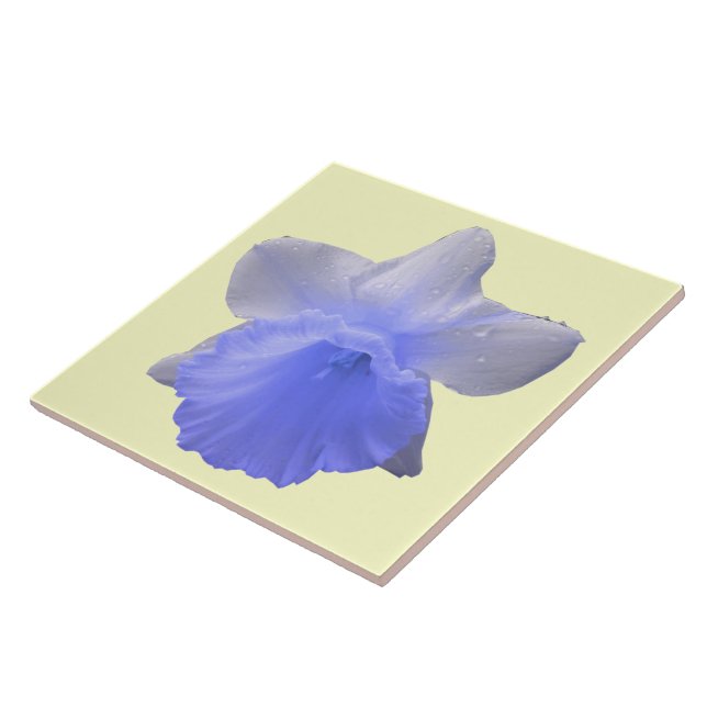 De Cerâmica Dedilhando Azulejo Azul Daffodil (Lateral)