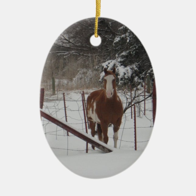 De Cerâmica Deslizante no ornamento da neve (Frente)