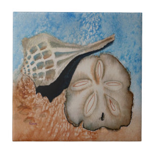 De Cerâmica Duas cascas marítimas do Azulejo oceânico