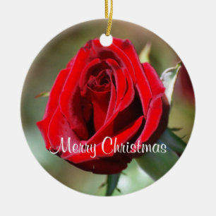 De Cerâmica Elizabeth personalizou o ornamento da rosa