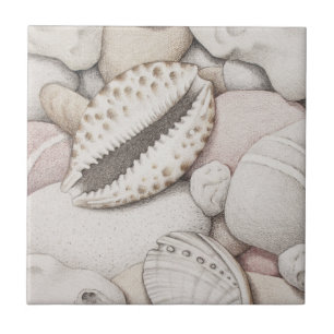De Cerâmica Escudos do Cowrie & do olmo e azulejo dos seixos