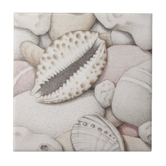 De Cerâmica Escudos do Cowrie & do olmo e azulejo dos seixos