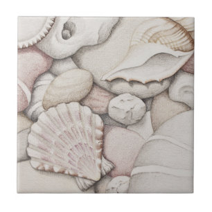 De Cerâmica Escudos do Scallop & da tíbia e azulejo dos seixo