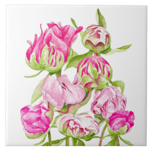 De Cerâmica Esperança em um Azulejo cerâmico