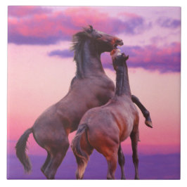 De Cerâmica Estalhões jogando Azulejo