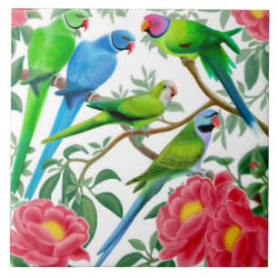 De Cerâmica Eu amo o azulejo dos Parakeets