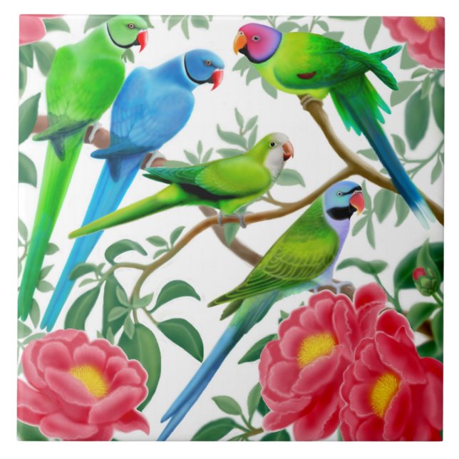 De Cerâmica Eu amo o azulejo dos Parakeets (Frente)