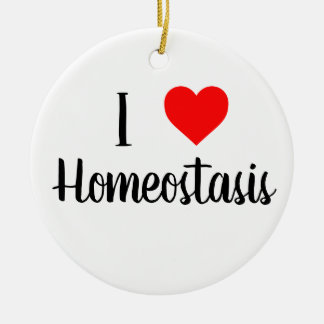De Cerâmica Eu amo o ornamento da homeostase