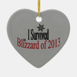 De Cerâmica Eu sobrevivi ao ornamento do blizzard 2013