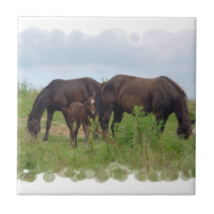 De Cerâmica Família do cavalo que pasta o azulejo