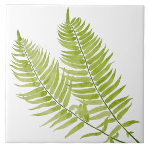 De Cerâmica Feathery Fern em Azulejo cerâmico