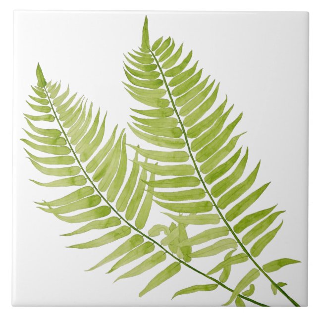 De Cerâmica Feathery Fern em Azulejo cerâmico (Frente)