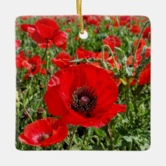 De Cerâmica Flandres Ornamento Poppy