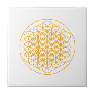 DE CERÂMICA  FLOR DO AZULEJO DA VIDA PELO DMT