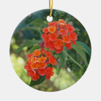 De Cerâmica Flower power & ornamento da natureza - Lantana