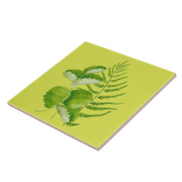 De Cerâmica Formulários em verde num Azulejo cerâmico