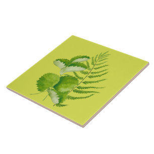 De Cerâmica Formulários em verde num Azulejo cerâmico