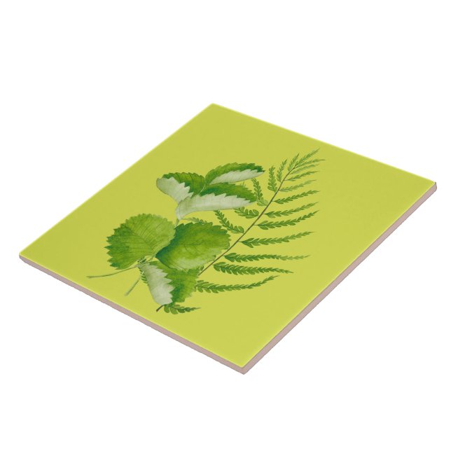 De Cerâmica Formulários em verde num Azulejo cerâmico (Lateral)