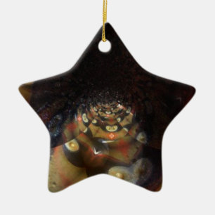 De Cerâmica Fractal Seu Ornamento Estrela Personalizado