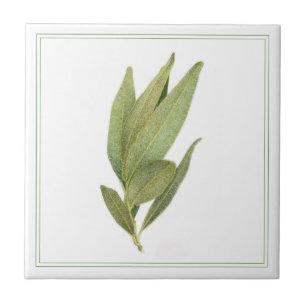 De Cerâmica FRESH BAY DEIXA 4,25x4,25 Azulejo cerâmico (-text)