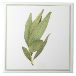 De Cerâmica FRESH BAY DEIXA Azulejo cerâmico 6"x6" (-text)