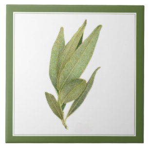 De Cerâmica FRESH BAY DEIXA Azulejo cerâmico 6"x6" (-text) Ver