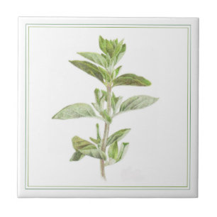 De Cerâmica FRESH OREGANO 4.25x4.25 Azulejo cerâmico (-texto)
