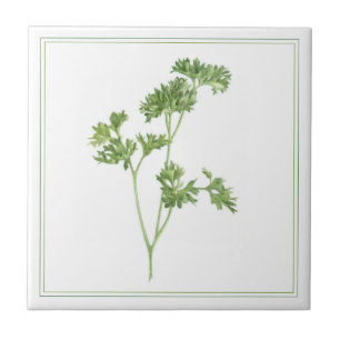 De Cerâmica FRESH PARSLEY 4.25x4.25 Azulejo cerâmico (-text)