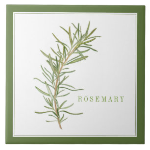 De Cerâmica FRESH ROSEMARY 6x6 Azulejo cerâmico (+texto) verde