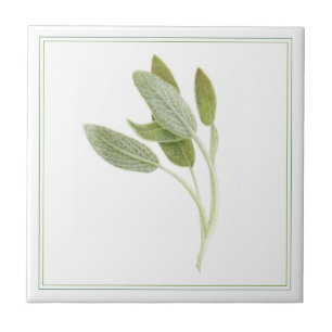 De Cerâmica FRESH SAGE 4.25x4.25 Azulejo cerâmico (-texto)