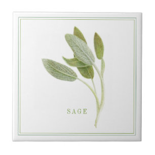 De Cerâmica FRESH SAGE 4.25x4.25 Azulejo cerâmico (+texto)
